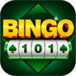 Bingo 101