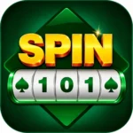 Spin 101
